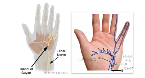 <a href='http://www.lnzszx.com/' target='_blank'><u>徐州仁慈醫(yī)院</u></a>