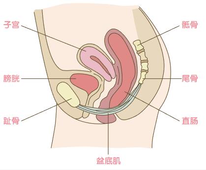 預(yù)約手術(shù)